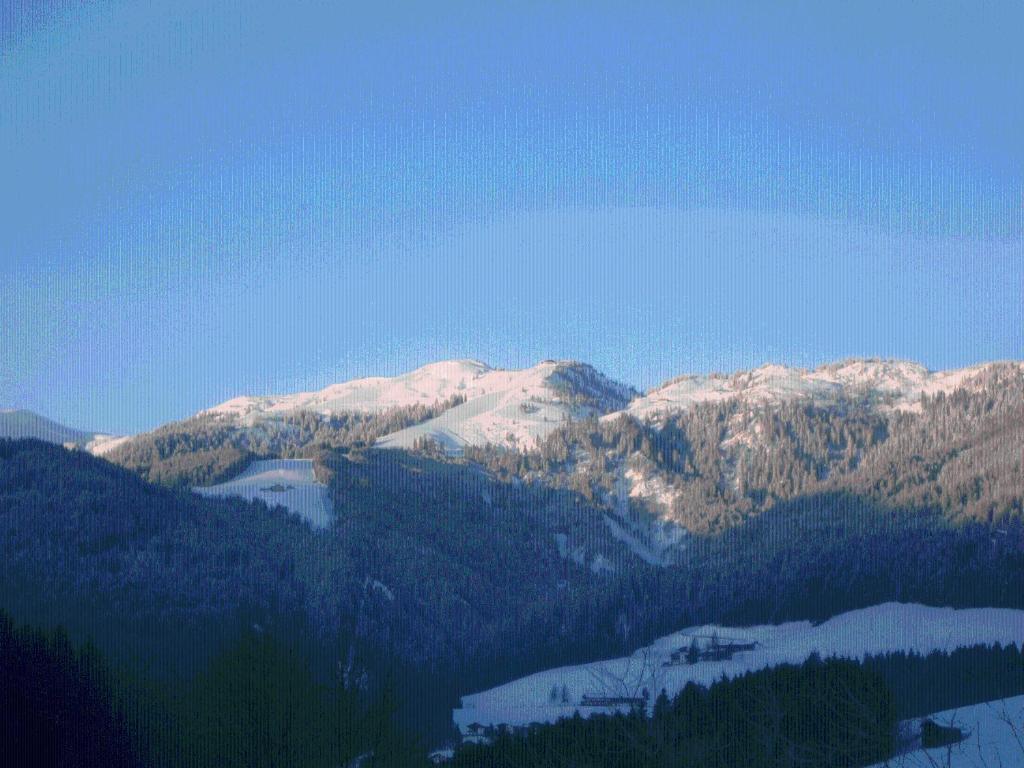 Landgasthof Dorferwirt Oberau Luaran gambar