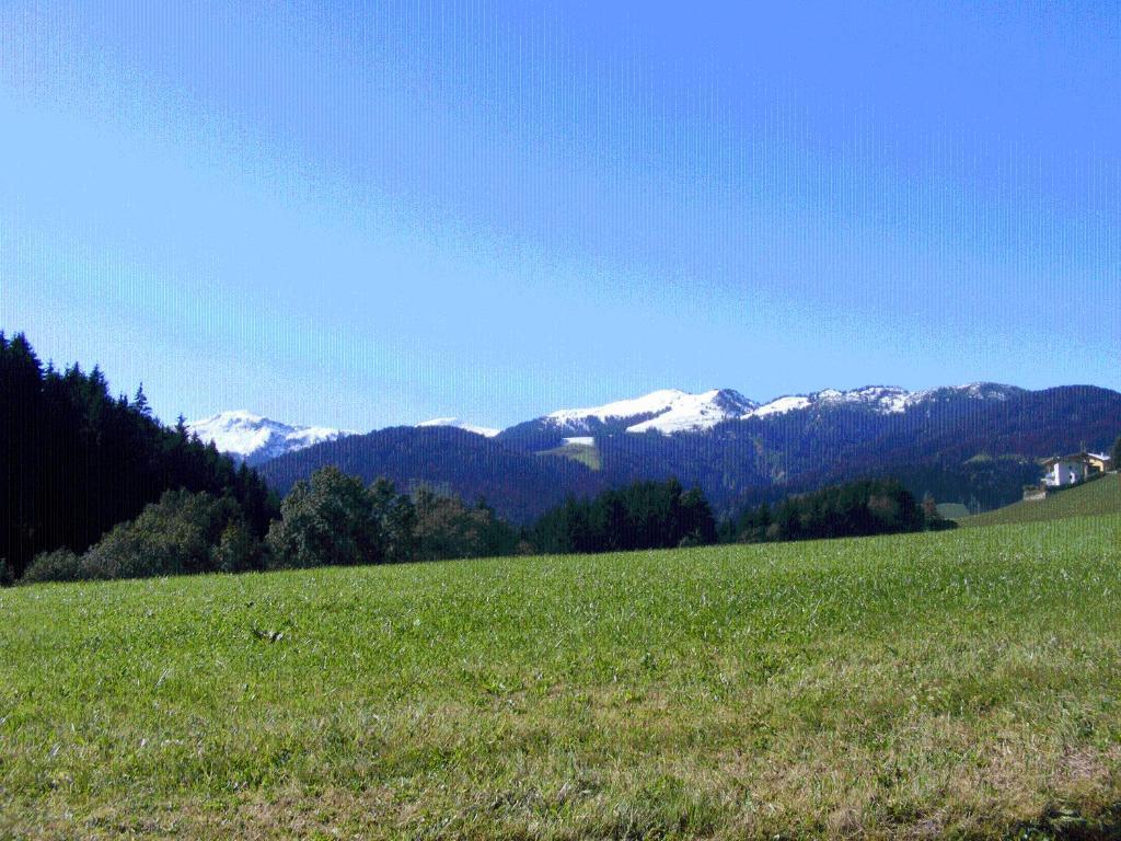 Landgasthof Dorferwirt Oberau Bilik gambar